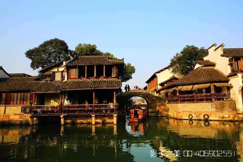 救援受困的长颈鹿